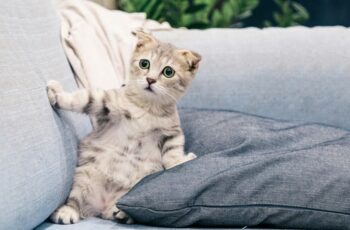 Acheter un bien immobilier vendu par l&rsquo;état : le guide complet