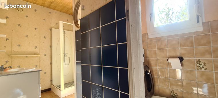 Salle d'eau immeuble Verdun