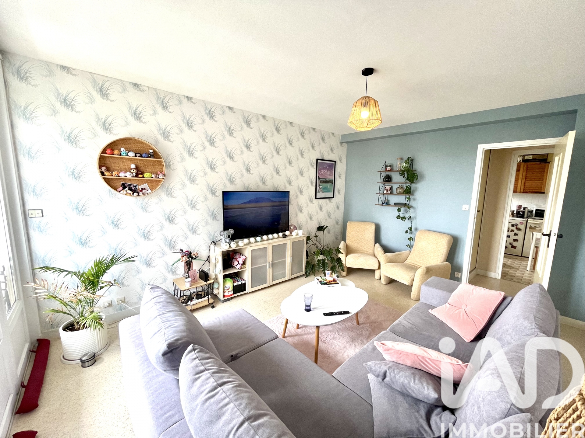Salon avec TV et etagere T3 Granville